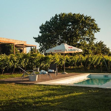 Pizzorno Lodge & Wine Progreso Luaran gambar