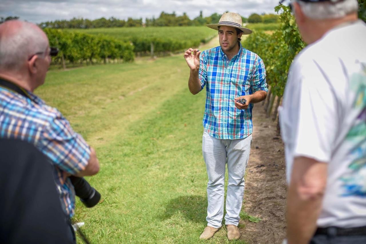 Pizzorno Lodge & Wine Progreso Luaran gambar