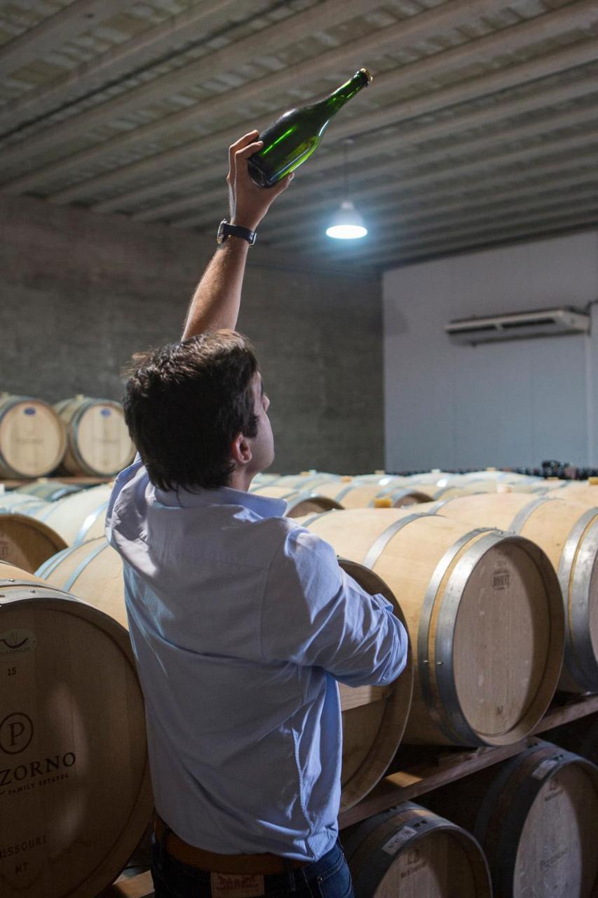 Pizzorno Lodge & Wine Progreso Luaran gambar