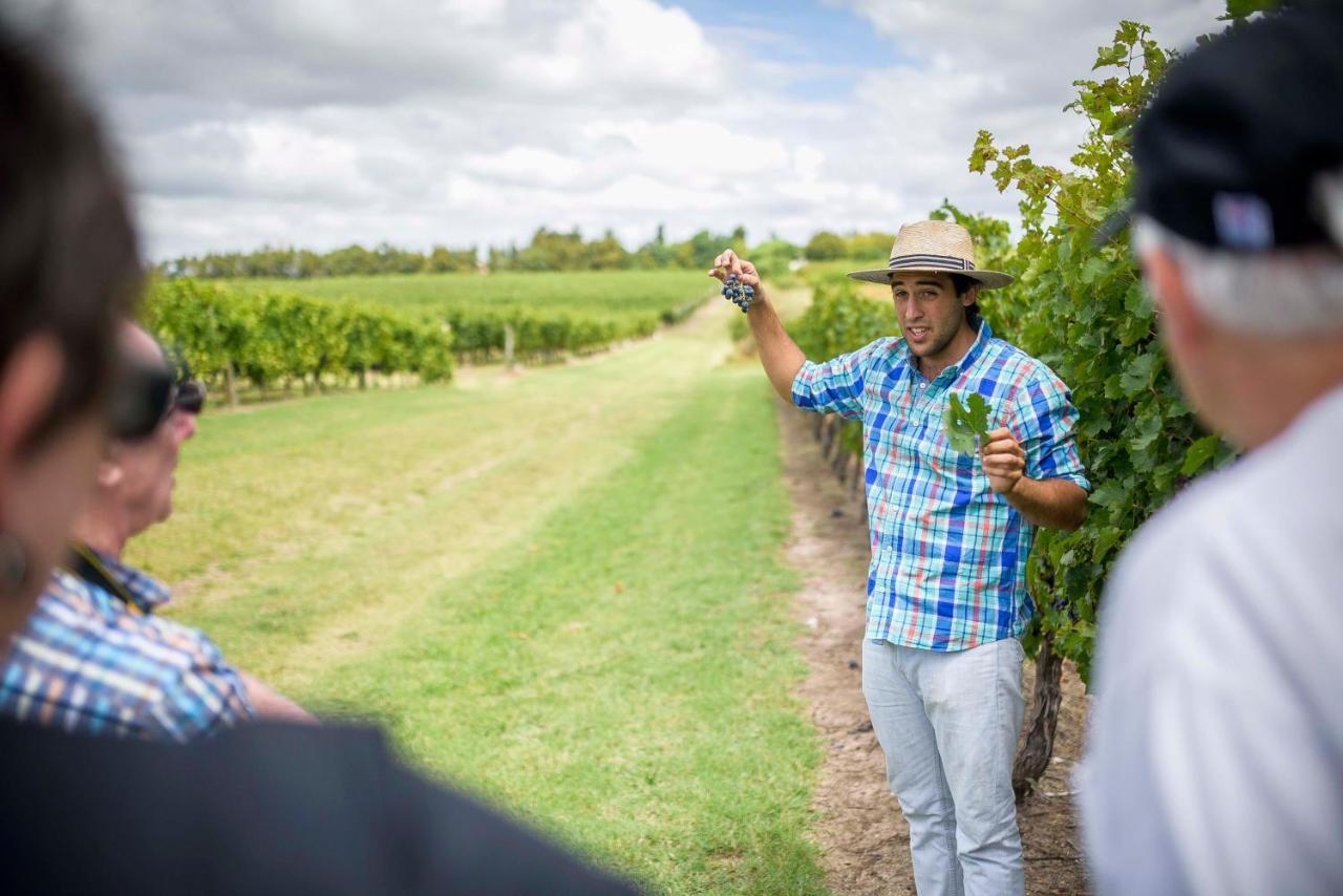Pizzorno Lodge & Wine Progreso Luaran gambar