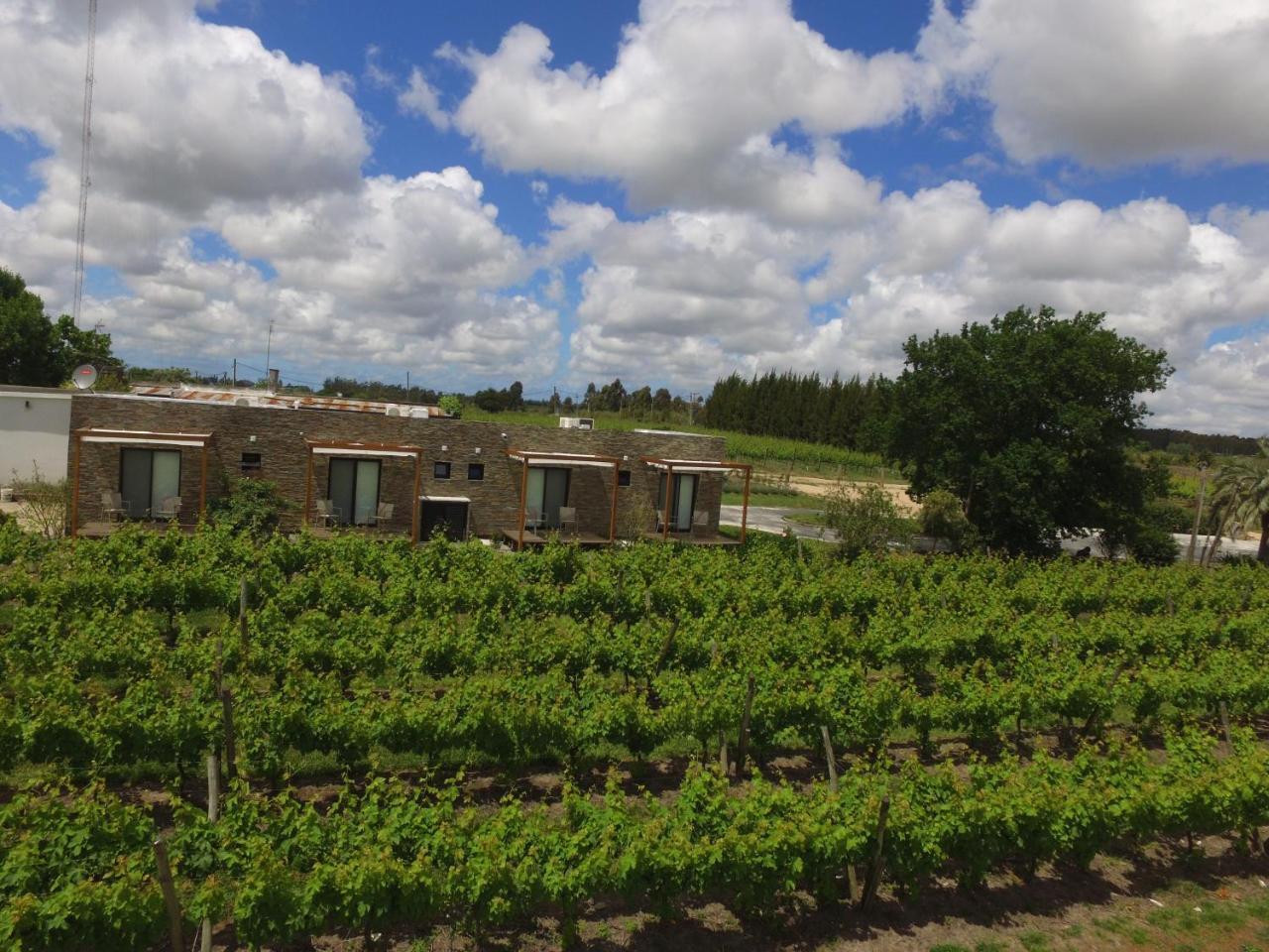 Pizzorno Lodge & Wine Progreso Luaran gambar