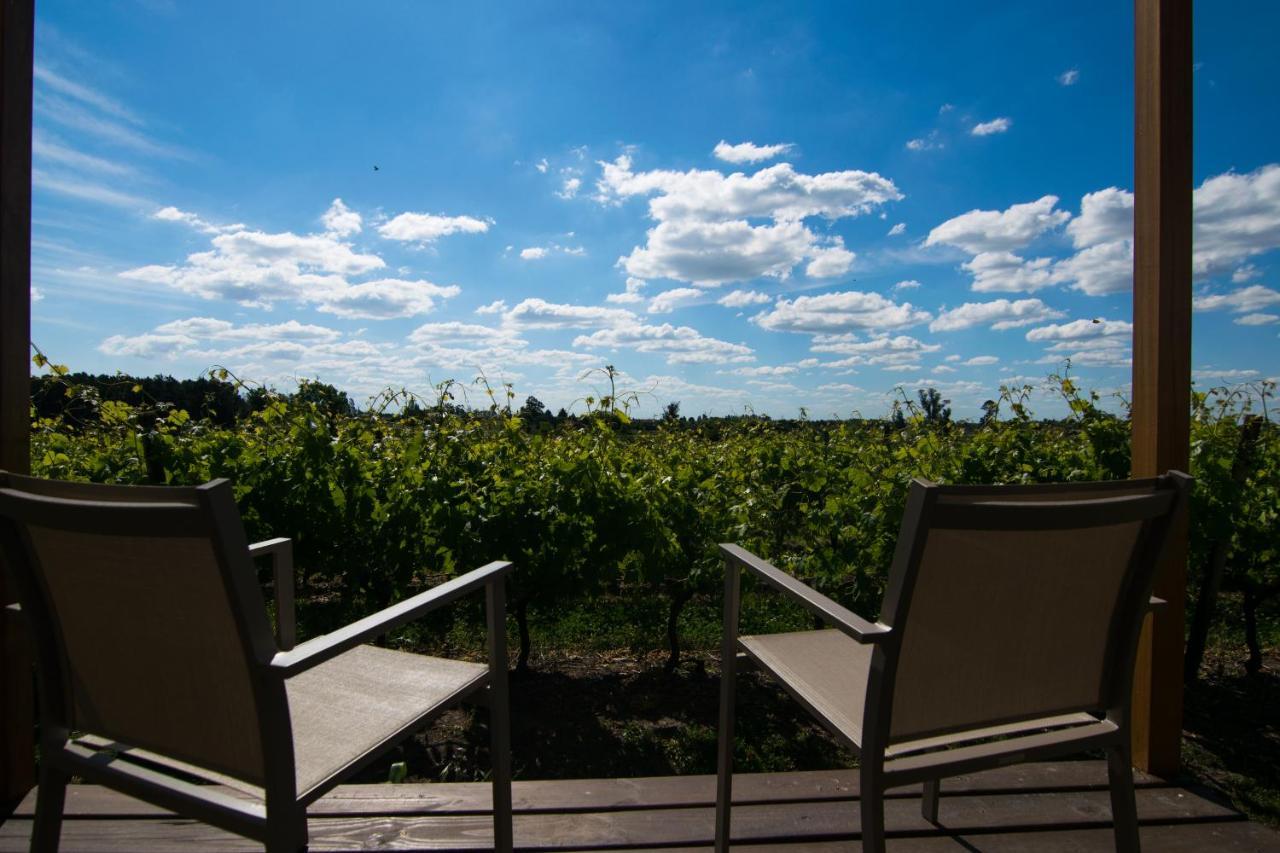 Pizzorno Lodge & Wine Progreso Luaran gambar