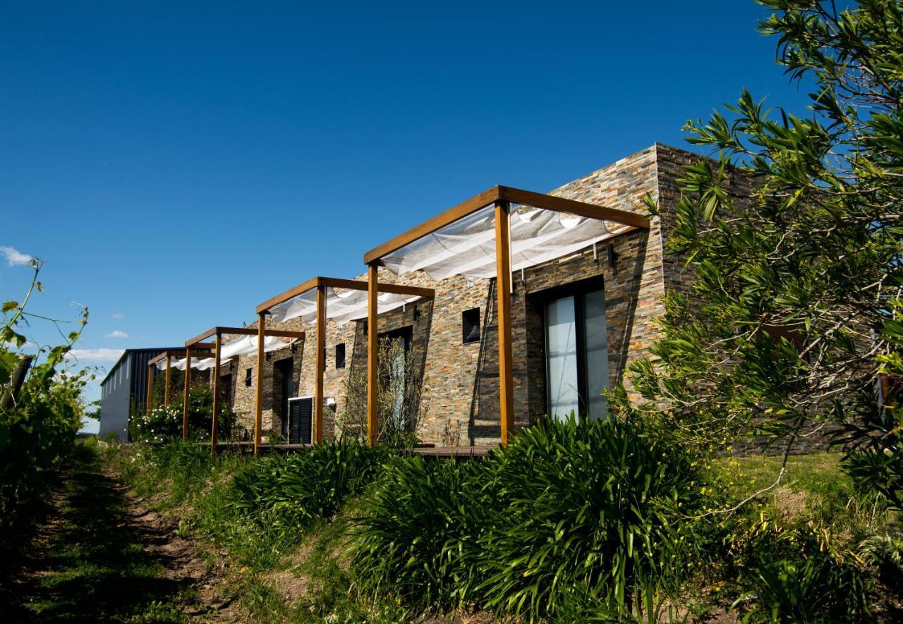 Pizzorno Lodge & Wine Progreso Luaran gambar