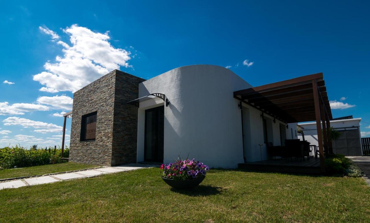 Pizzorno Lodge & Wine Progreso Luaran gambar